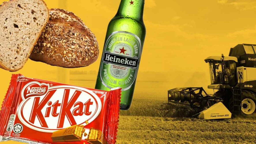 Food producers turn to greener fertilisers to reduce carbon footprints