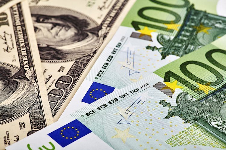 Euro set to end the year near highs with the market looking at Fed cuts