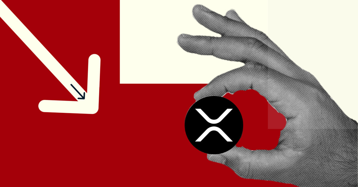 XRP’s Dominance Declines Amid Consolidation At $0.6! Here’s The Next Level For XRP Price
