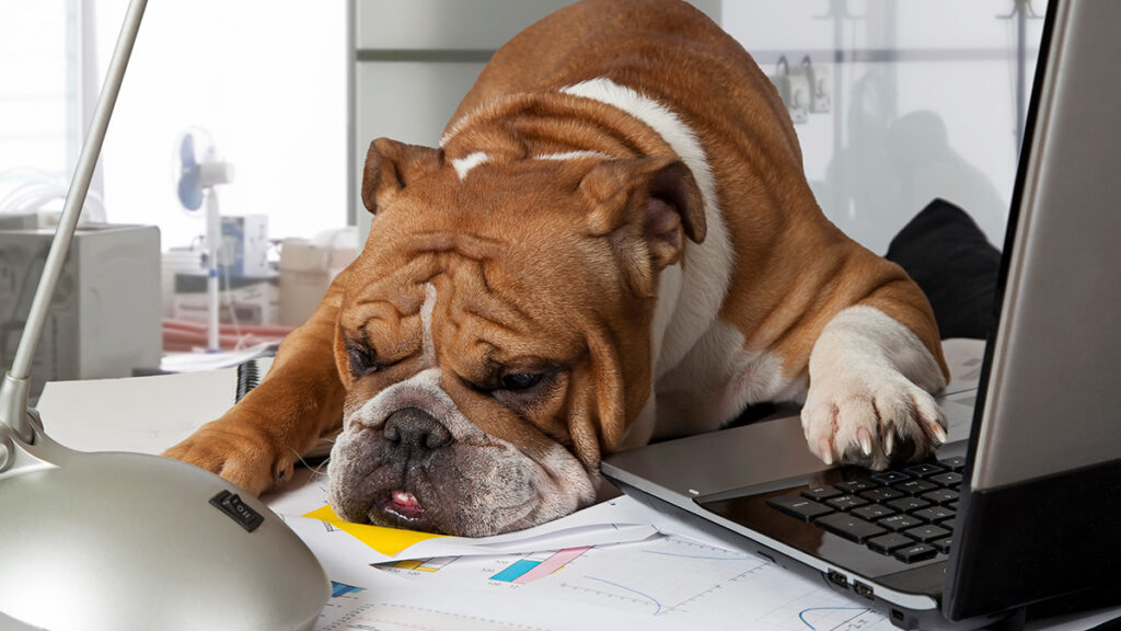 3 Key Metrics That Employee Engagement Surveys Miss