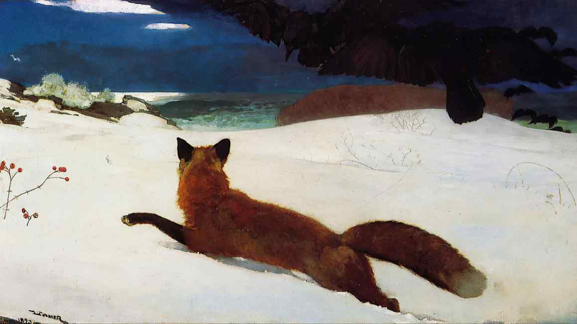 The wonderful possibilities of winter