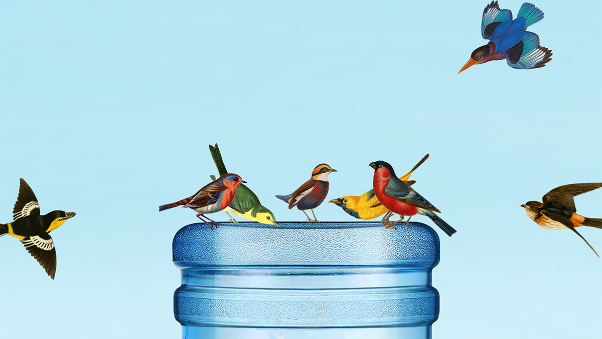 Don’t Underestimate the Power of Small Breaks During a Busy Workday