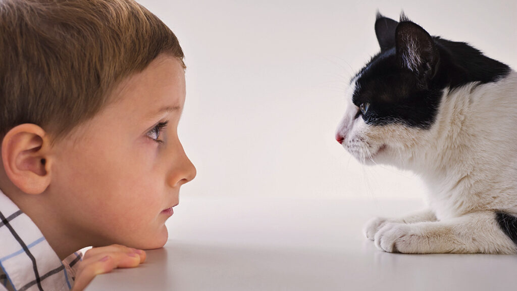 How to Become a More Empathetic Listener