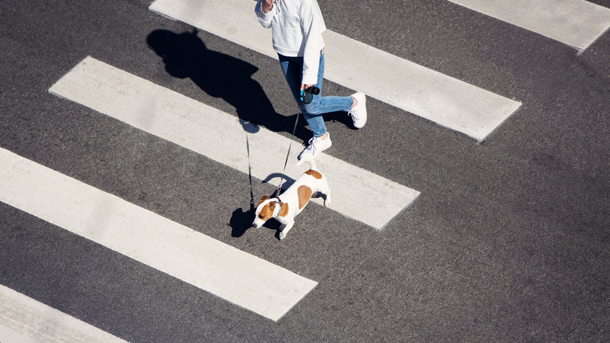 The Research-Backed Benefits of Daily Rituals