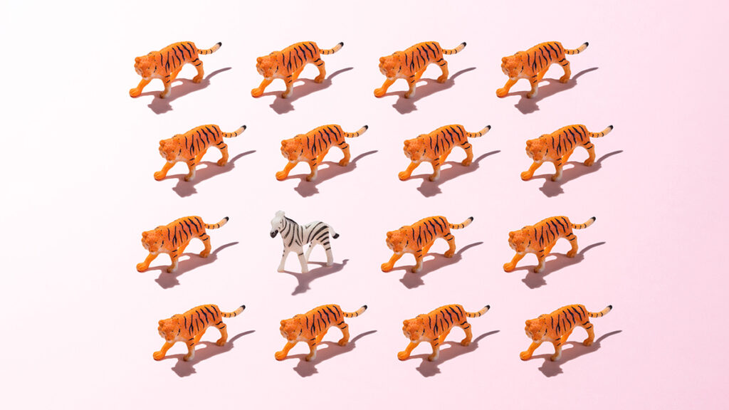 5 Ways Executives Can Manage Conflict with the Board