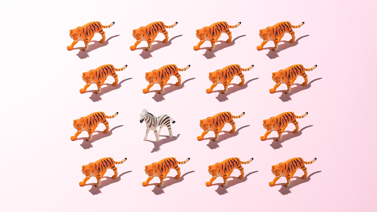 5 Ways Executives Can Manage Conflict with the Board
