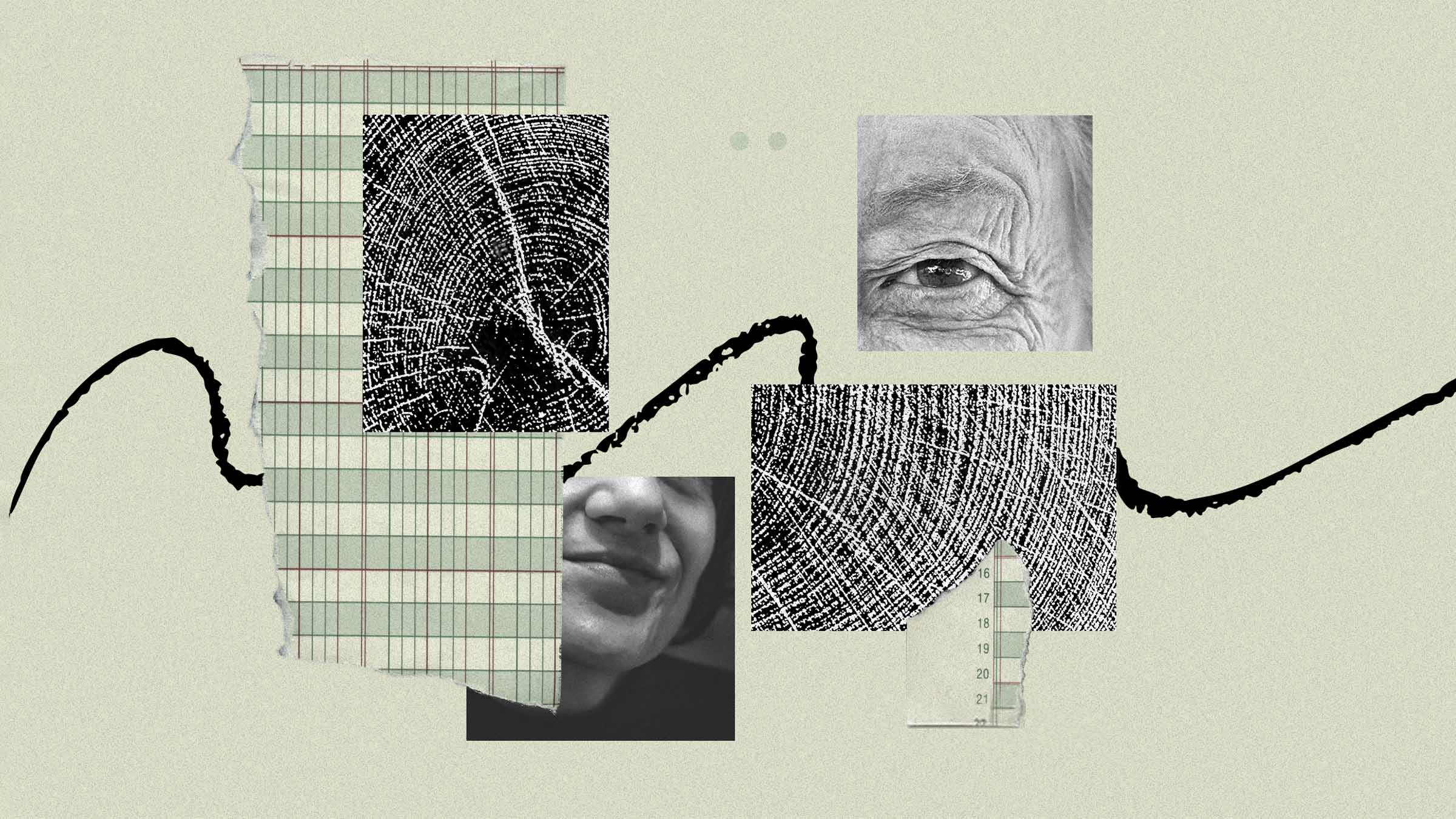 Should an Aging Leader Step Aside?
