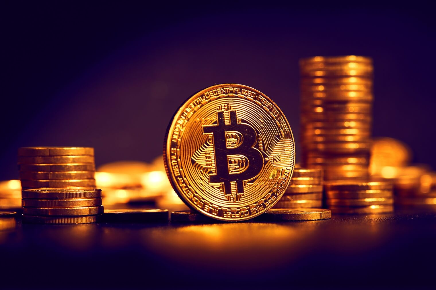 Dogizen set for listing as investors shift focus away from crypto majors