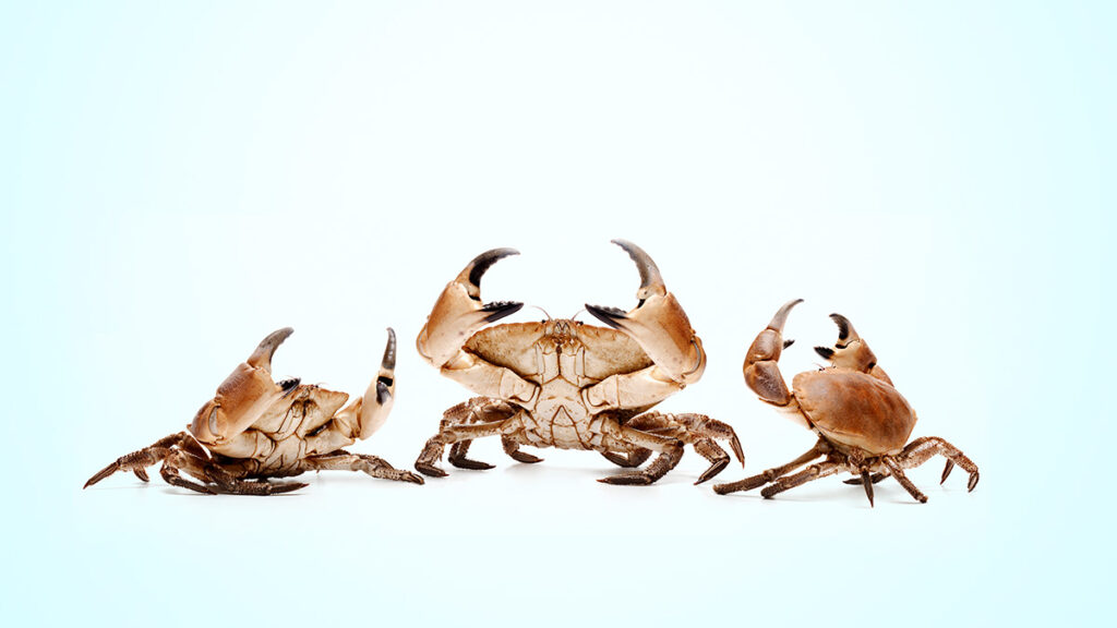 What It Takes to Fix a “Mean” Workplace