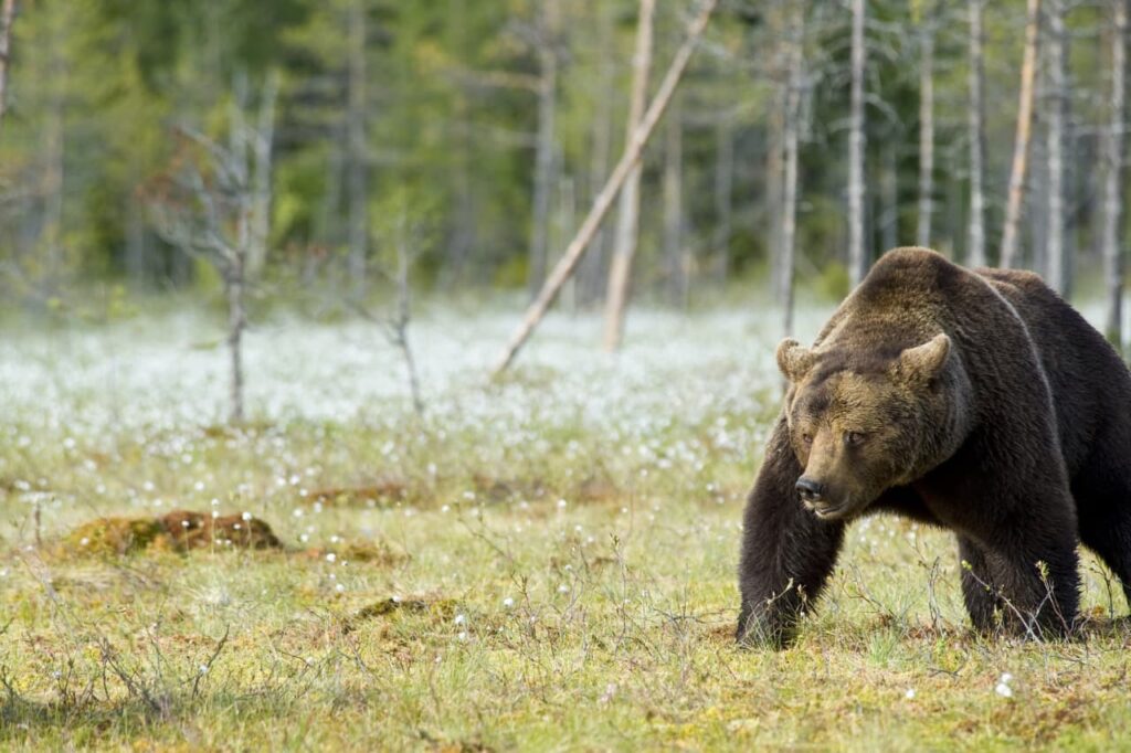 The stock market looks dangerous now — but is it oversold? Watch these signs.
