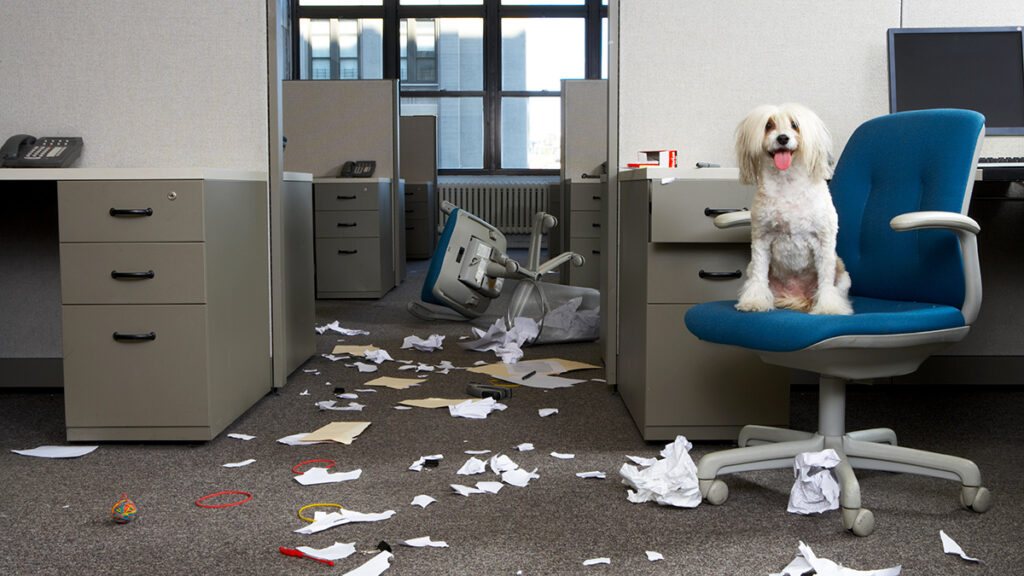 Your Boss Thrives on Chaos. Here’s How to Protect Your Energy.