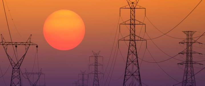 Japanese Utility Faces Rare Activist Investor Challenge