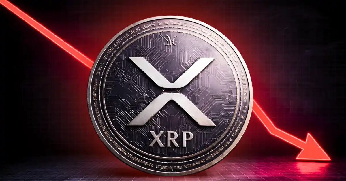 Canary Capital CEO Says XRP Price Could Peak in 2026