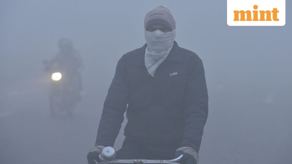 Are schools shut in Delhi-NCR, UP today? IMD issues red alert for dense fog