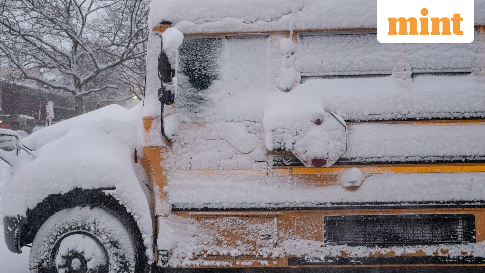 New York Blizzard: NYC public schools to open on Tuesday, February 24, travel ban lifted