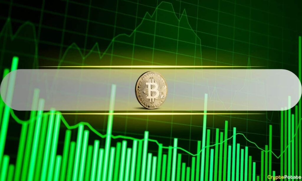Groundwork For Potential Bitcoin Recovery Is Forming, Say Analysts