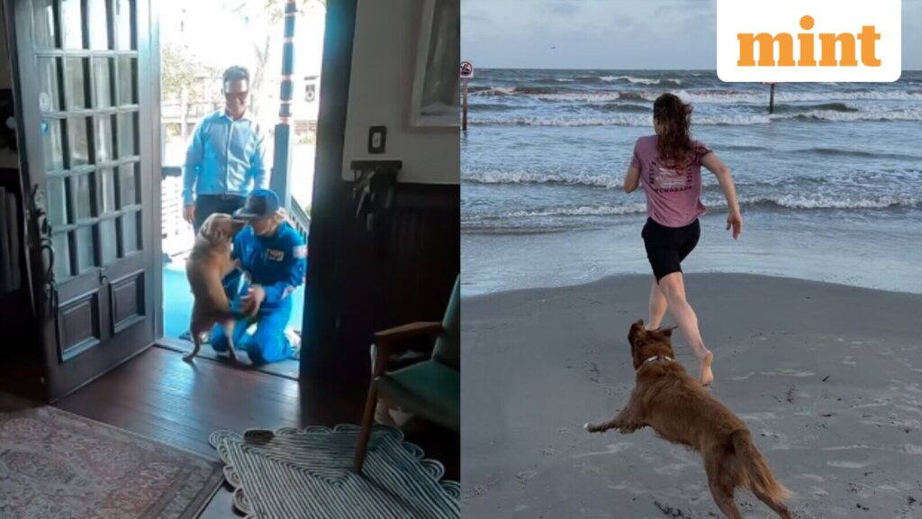Watch: Artemis II astronaut Christina Koch shares emotional video of reuniting with dog Sadie