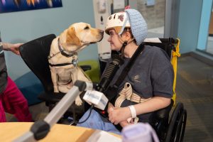 Meet the hospital dogs ‘making a real difference’ by getting sick kids to smile