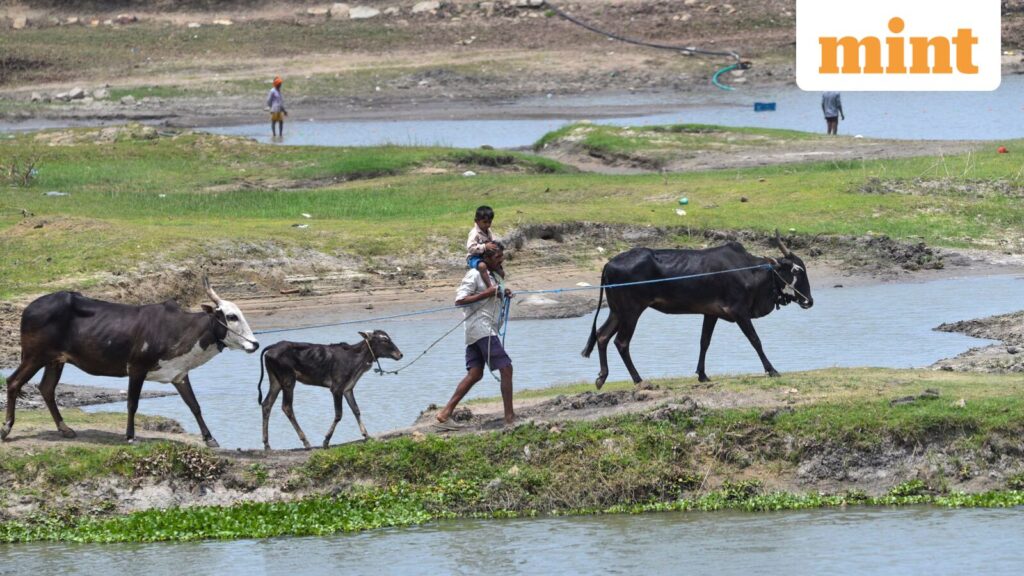 In charts: How rain dependency is deepening India’s water stress