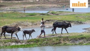In charts: How rain dependency is deepening India’s water stress