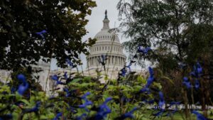 A Republican midterm defeat will not be an earthquake